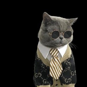 Meet your Posher, Loretta